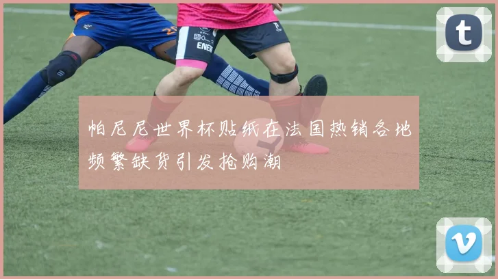 帕尼尼世界杯贴纸在法国热销各地频繁缺货引发抢购潮