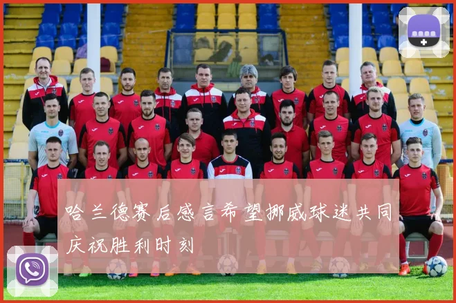 哈兰德赛后感言希望挪威球迷共同庆祝胜利时刻